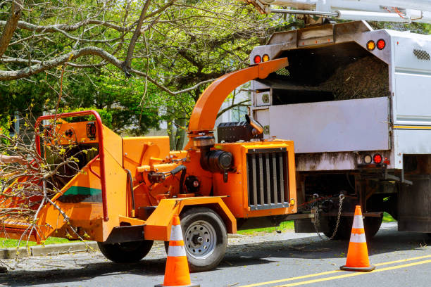 Best Tree Mulching  in Hoffman Estates, IL