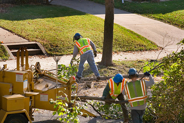  Hoffman Estates, IL Tree Services Pros